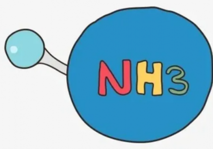 NH3